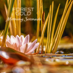 无码成人精品区一级毛片
