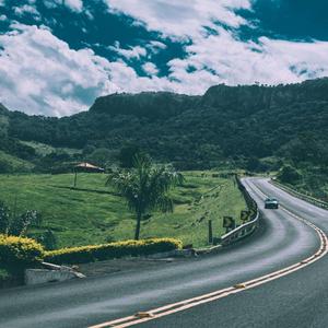 无码成人精品区一级毛片
